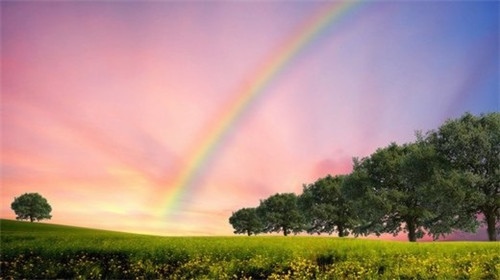 关于彩虹人生的句子 彩虹的正能量经典句子