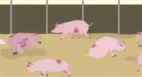 非洲猪瘟防控标语条幅 非洲猪瘟宣传口号
