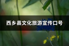 西乡县文化旅游宣传口号