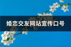 婚恋交友网站宣传口号