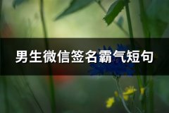 男生微信签名霸气短句(优选66句)