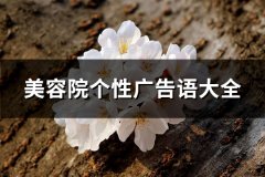 美容院个性广告语大全(精选82句)