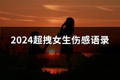 2024超拽女生伤感语录(304句)
