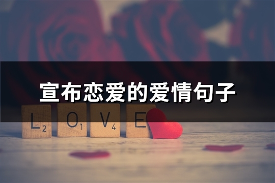 宣布恋爱的爱情句子(66句)